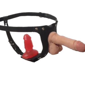 Arnes Doble Placer + Pene + mini pene Anal - Cuero